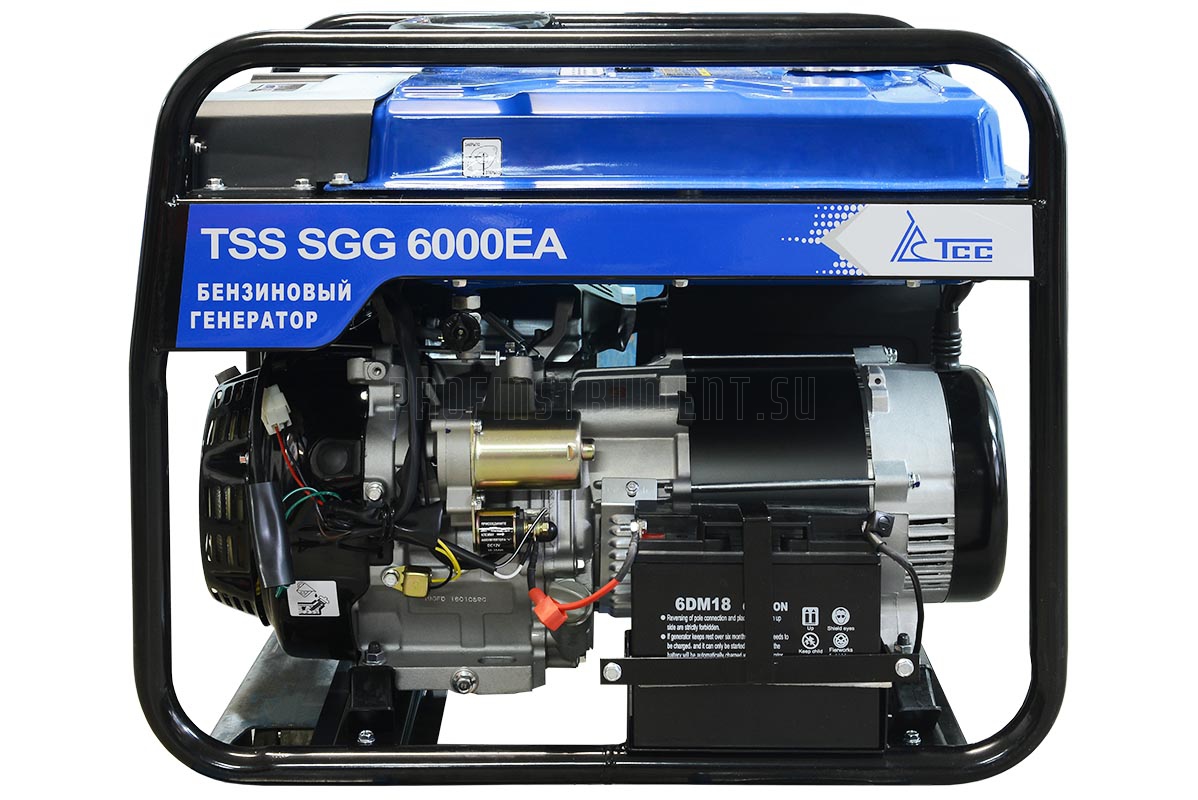  TSS SGG 6000 EA [190003] — цена, описание .